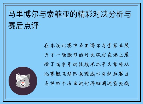 马里博尔与索菲亚的精彩对决分析与赛后点评